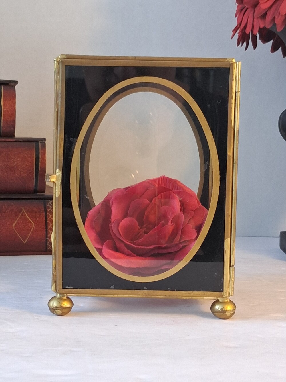 Vtg Brass/Glass Display Case;Latch Door Oval Black Glass;Victorian/Gothic Style